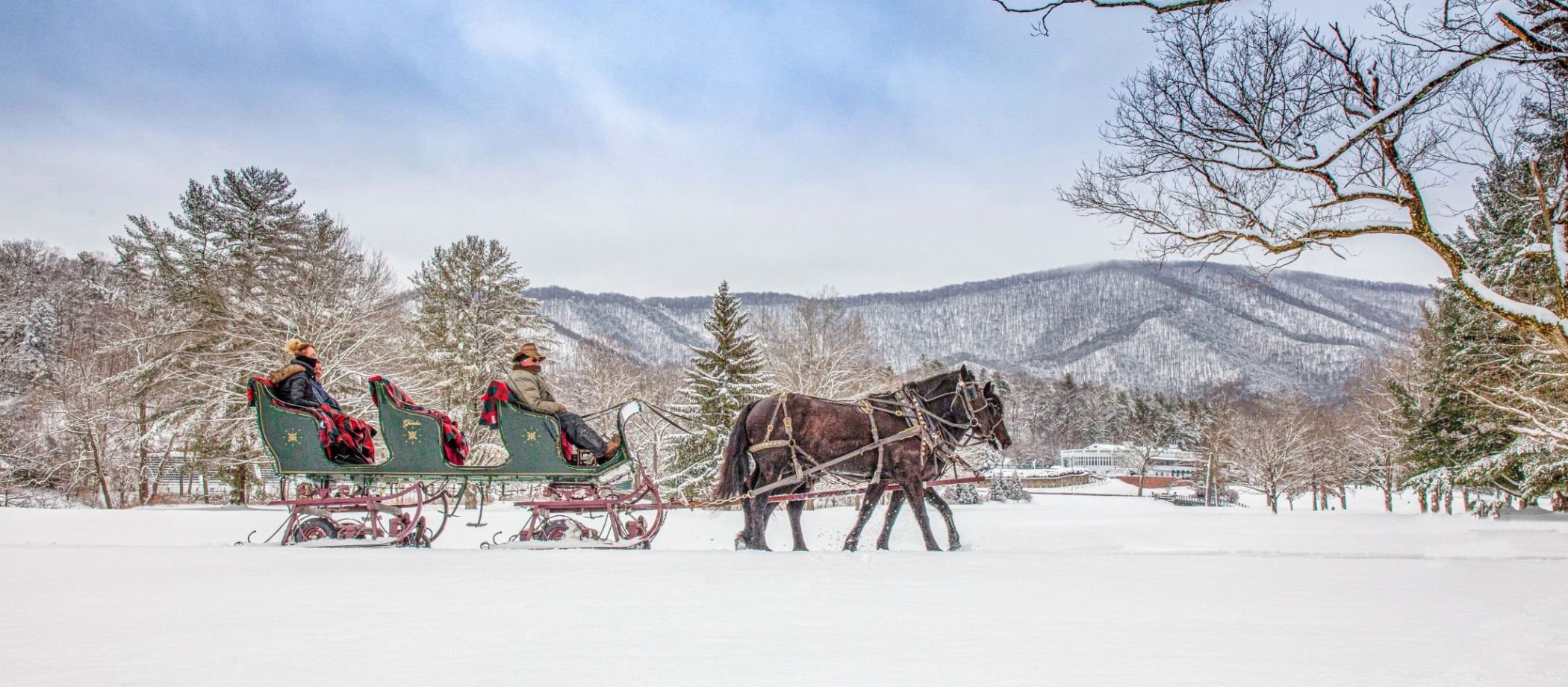 Winter Carriage