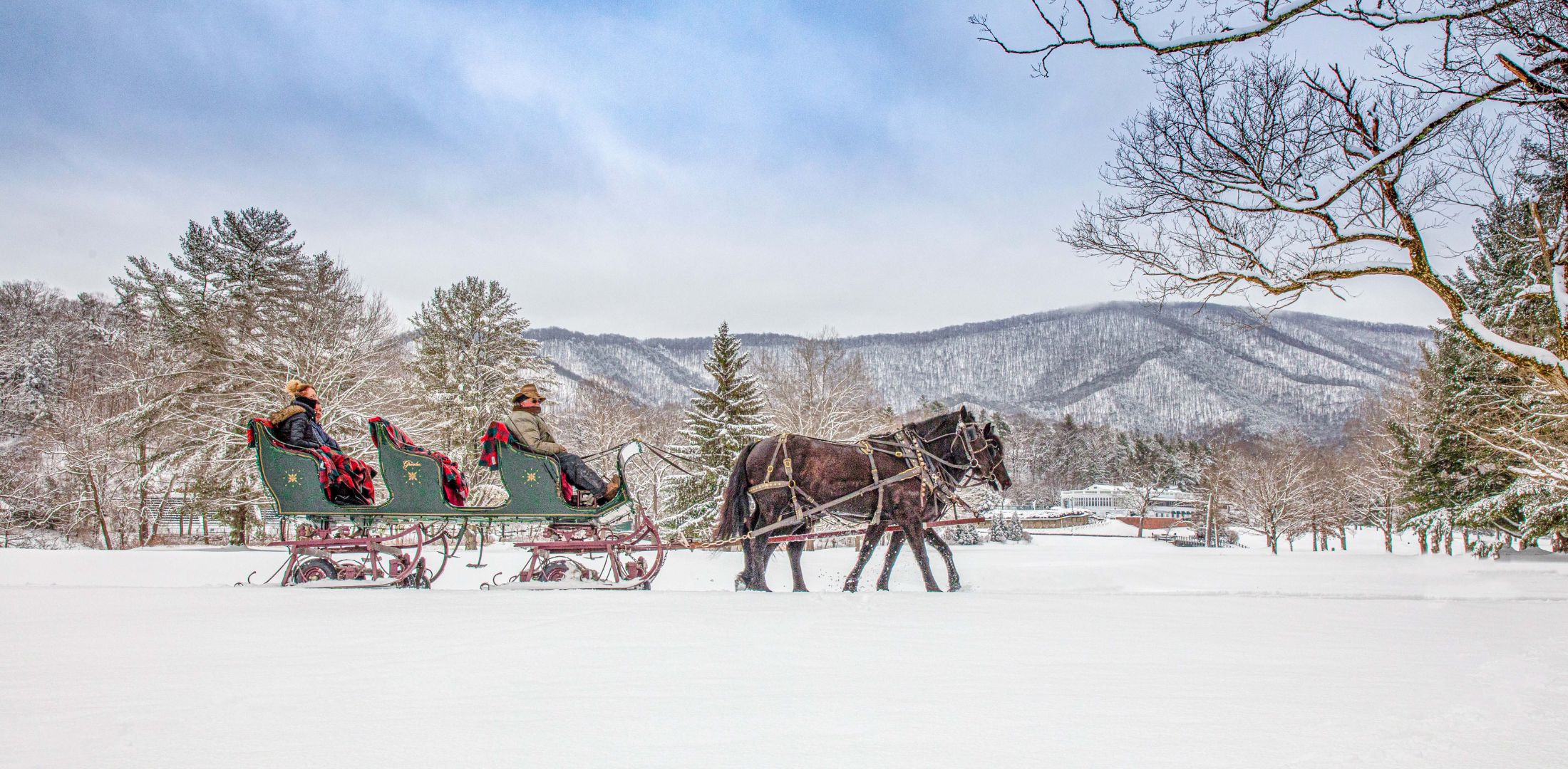 Winter Carriage